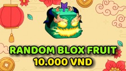 Random 10k blox fruit